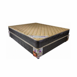 import placeholder for 2249