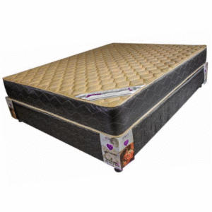 import placeholder for 2250